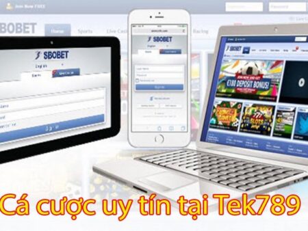 Tek789.com – Link truy cập phụ đến nhà cái Sbobet